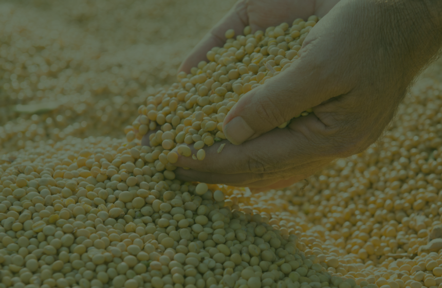 Mato Grosso: estudo projeta aumento da produção de milho e soja em até 35%